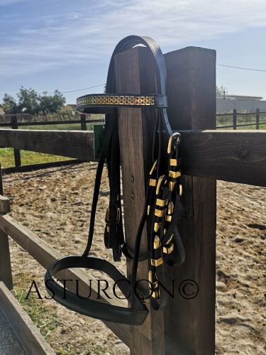 Unique Double Combination Bridle